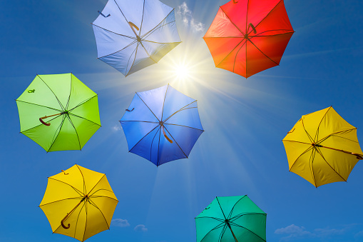 varicoloured umbrella fly in a sky on sparkle sun background