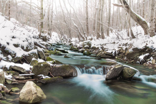 istock Mountain stream in a forest on a winter day, Poland 1307078860