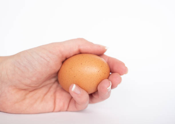 istock Natural brown egg in female hand on white background 1307080066