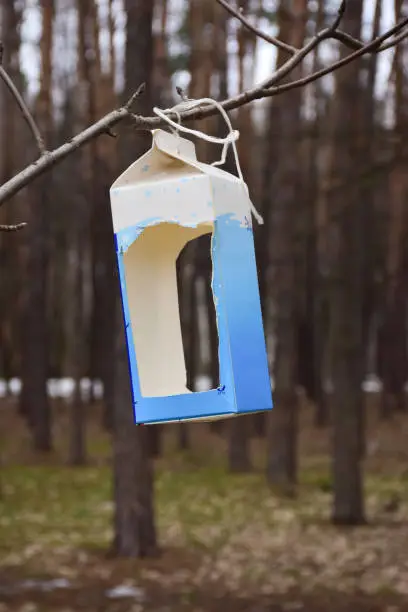 A homemade bird feeder, cut from a cardboard box of milk, hangs on a branch in the park.