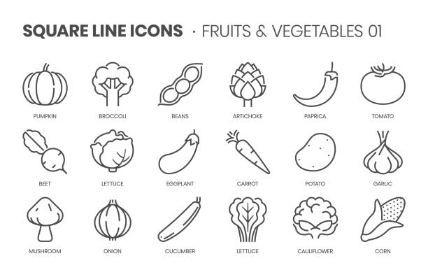 фрукты и овощи один, квадратная линия значок набор - artichoke stock illustrations
