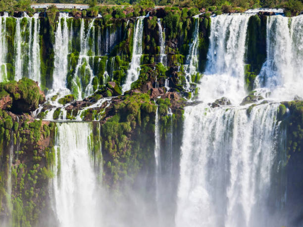 istock Iguazu Falls or Waterfall landscape 1307088197