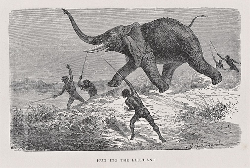 African men spearing an elephant in the 1800s. Illustration published 1891. Source: Original edition is from my own archives. Copyright has expired and is in Public Domain.