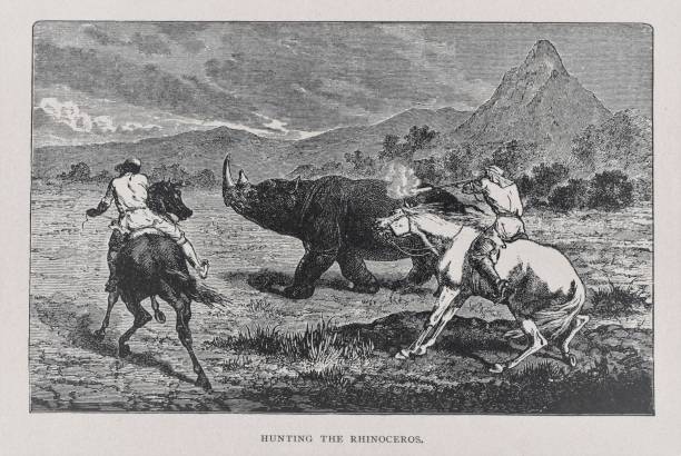 Hunting Rhinoceros in Africa 1800s Two men in Western dress on horseback shooting a rhinoceros in Africa during 19th Century. Illustration published 1891. Source: Original edition is from my own archives. Copyright has expired and is in Public Domain. two men hunting stock illustrations