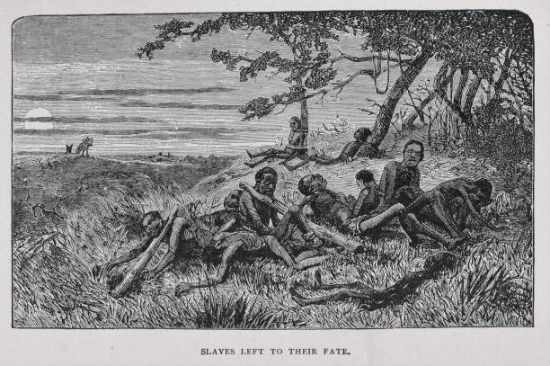 Slaves Left to Die in 19th Century Africa When slaves were in bad physical condition, mostly due to ill treatment by slave traders, they were left behind to die in 1800s Africa. Illustration published 1891. Source: Original edition is from my own archives. Copyright has expired and is in Public Domain. african slaves stock illustrations