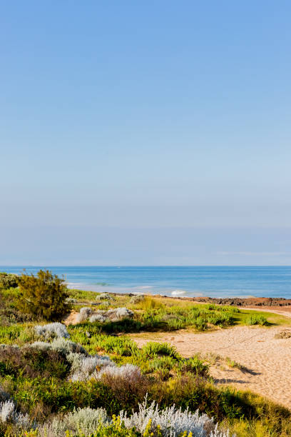 istock beach park in Australia with blue sky 1307093941