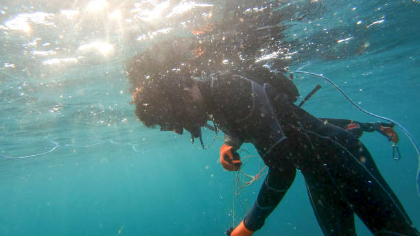 istock Underwater view of spearfisherman resurfacing from a successful dive 1307104130