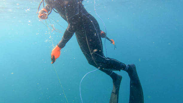 istock Underwater view of spearfisherman resurfacing from a successful dive 1307104167