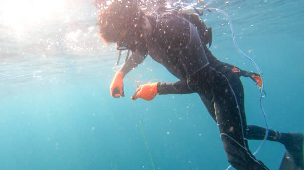 istock Underwater view of spearfisherman resurfacing from a successful dive 1307104194