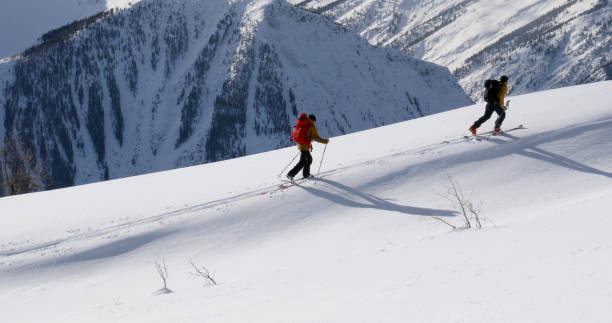 narciarze backcountry wznoszą się rano na śnieżny grzbiet górski - skiing snow ski slope sunlight zdjęcia i obrazy z banku zdjęć