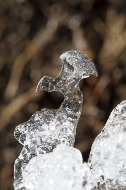 istock Ice whimsical natural sculpture. Frozen ice sculpture look like an eagle 1307110288
