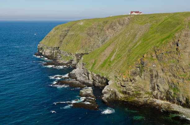 istock The shore of Newfoundland 1307111069