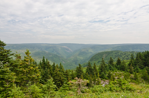 Picturesque view of mountains covered with forest under sky