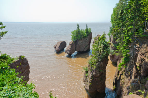 istock Hopewell Rocks at high tide 1307111144