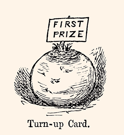 HUMOR: FIRST PRIZE FOR A PUMPKIN.
Vintage etching circa late 19th century...