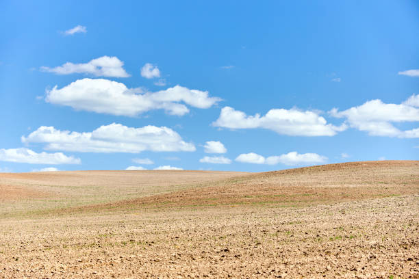 istock Ploughed arable plowing agricultural land plowed for crops under blue sky with clouds conceptual background with copyspace. 1307118961