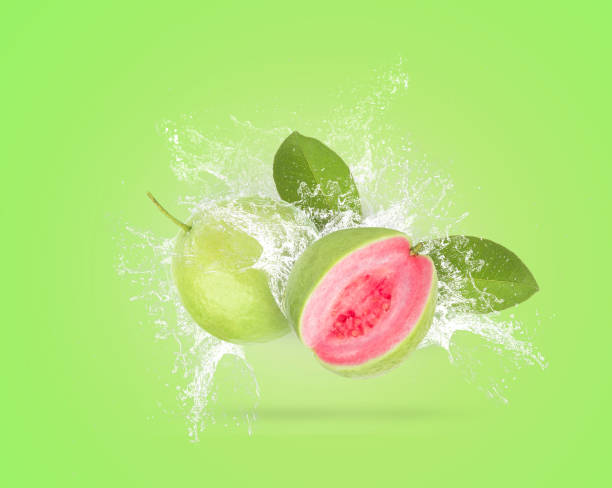 istock Water splashing on green guava fruit over green background 1307126892