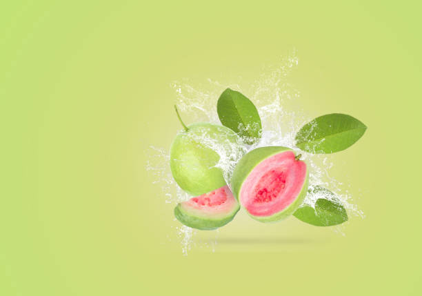 istock Water splashing on green guava fruit over green background 1307126900