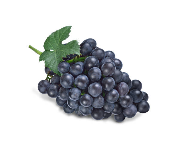 istock Bunch of black grapes isolated on white background 1307126929