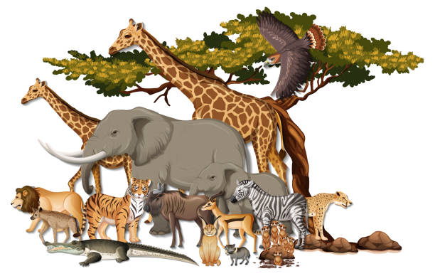 istock Group of wild African animals on white background 1307130190
