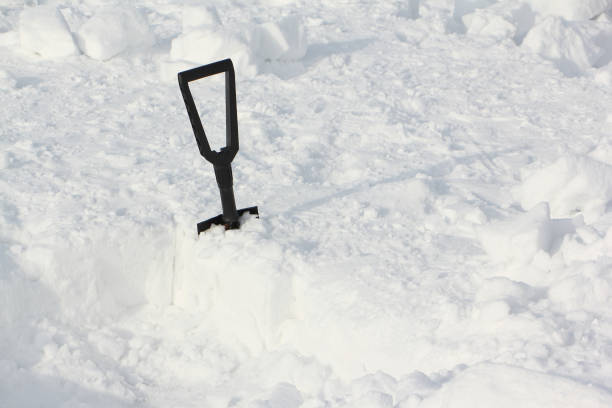 istock Shovel in snow for building an igloo 1307131299