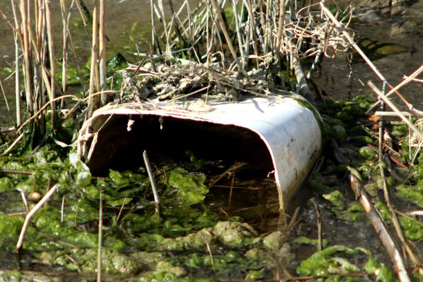 Litter consists of waste products that have been discarded incorrectly, without consent, at an unsuitable location