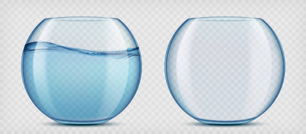 Glass aquariums with water and empty. Glass aquariums with water and empty. Mockup isolated on transparent background. Vector template goldfish bowl stock illustrations