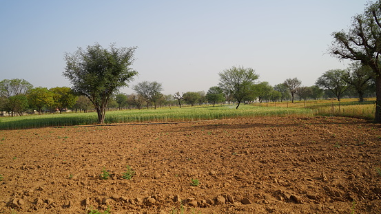 Campo vacío sin cultivos debido a la protesta de los agricultores en la India. Cierre de campo aislado sin plantación. photo