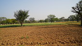 Empty field without crops due to farmer protest in India. Desolated field closeup without plantation.