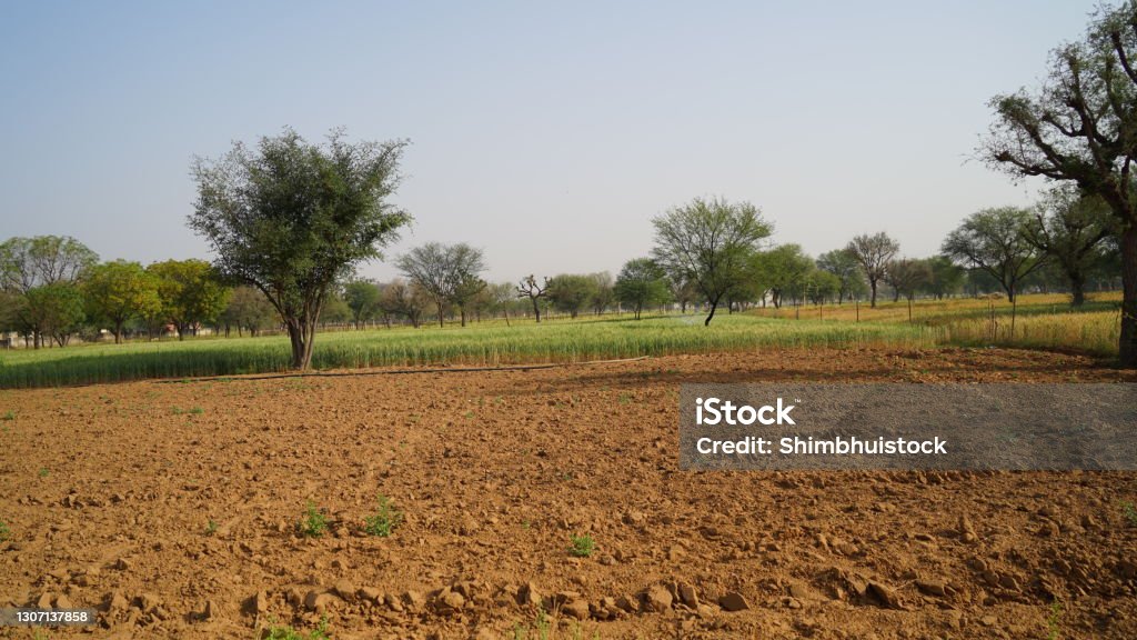 Empty Field Desolate Empty Field Without Crops Due To Farmer Protest In India Desolated ...