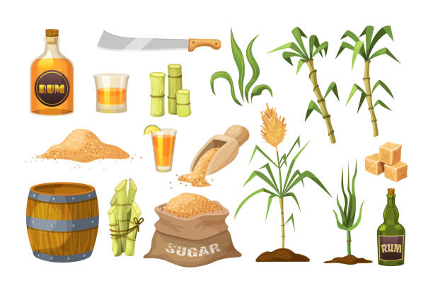 1,071 Cartoon Of Sugarcane Illustrations & Clip Art - iStock