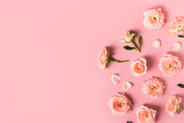 istock Rose flowers layout with petal and leaf pattern on pink background 1307139036