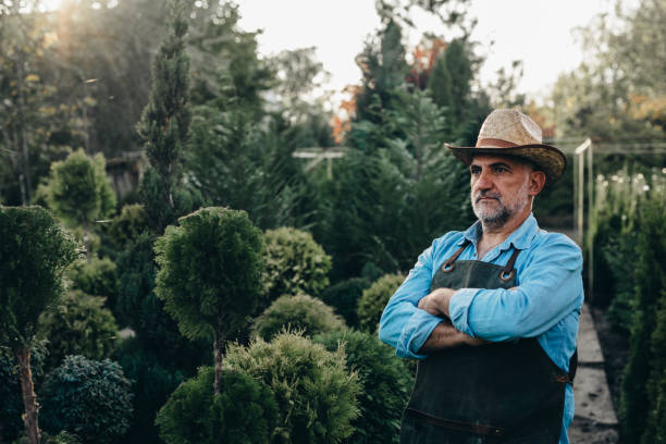istock senior man working outdoor in garden 1307141116