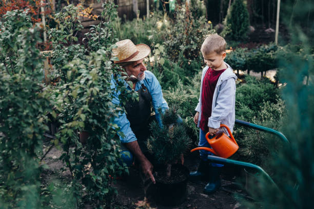 istock grandfather and grandson in tree nursery 1307141313