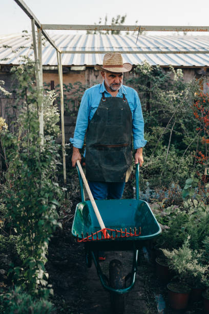 istock senior man working outdoor in garden 1307141345
