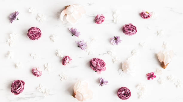 istock Flowers composition. White and purple flowers on marble background. Flat lay, top view 1307142308