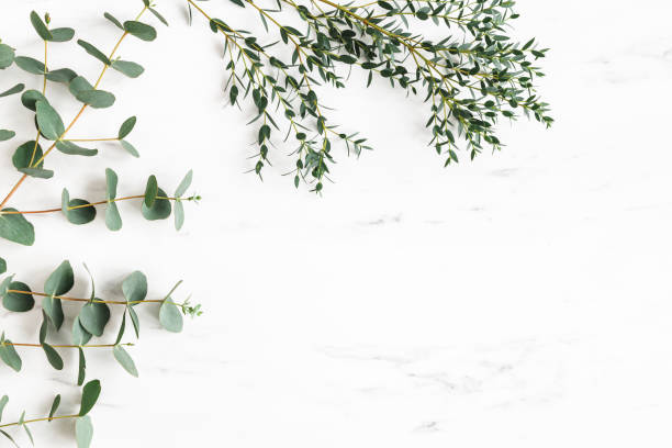 istock Eucalyptus leaves on marble background. Frame made of eucalyptus branches. Flat lay, top view 1307142322