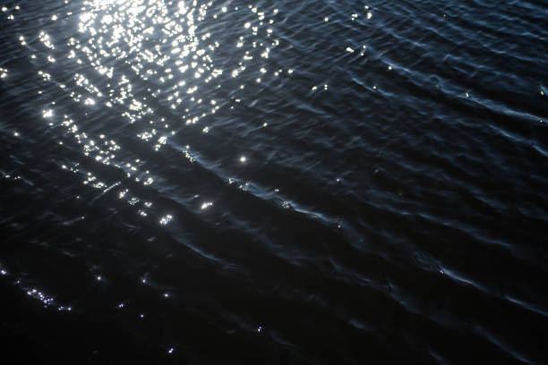 istock Sun reflections in Lake Liepaja, Latvia 1307142557