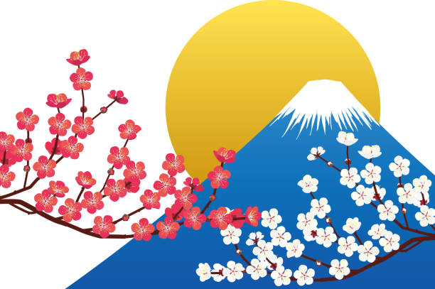 illustrazioni stock, clip art, cartoni animati e icone di tendenza di monte fuji, prugna rossa, prugna bianca e sole. materiale vettoriale - sunrise sun gold sea