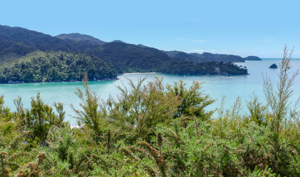 istock Abel Tasman National Park 1307148693