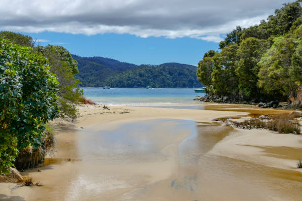 istock Abel Tasman National Park 1307148947