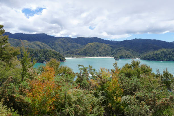 istock Abel Tasman National Park 1307149040