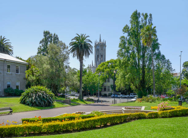 Albert Park in Auckland Sunny scenery at the Albert Park in Auckland, a large city in the North Island of New Zealand albert park stock pictures, royalty-free photos & images
