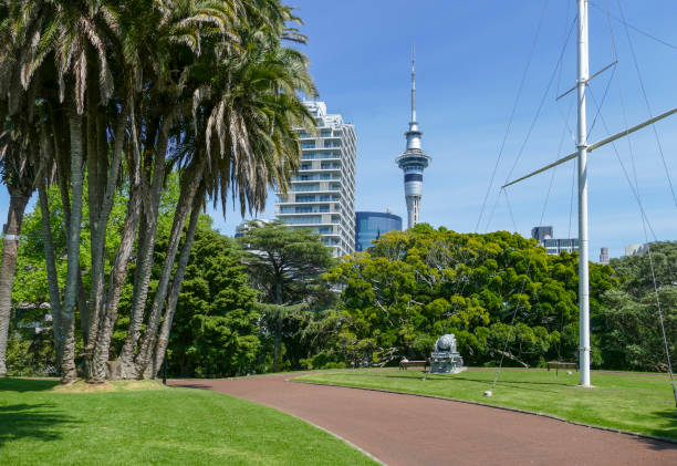 Albert Park in Auckland Sunny scenery at the Albert Park in Auckland, a large city in the North Island of New Zealand albert park stock pictures, royalty-free photos & images