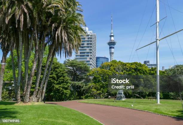Albert Park In Auckland Stock Photo - Download Image Now - Albert Park, Architecture, Auckland
