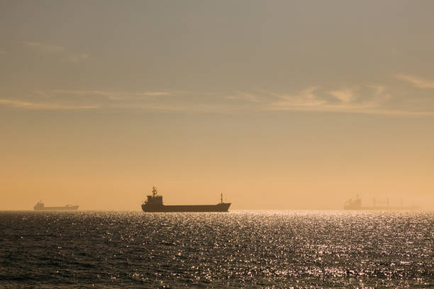 istock Ship Cargo Transporter in the Sea 1307149327