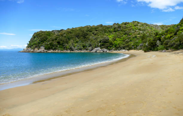 istock beach at Abel Tasman National Park 1307150734