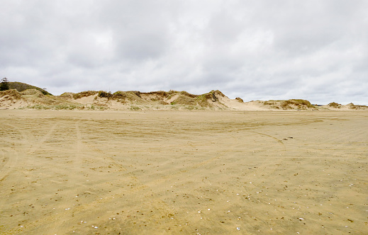 Dunes in Jericoacoara, Ceara