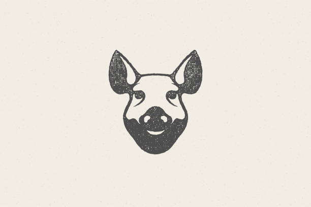 ilustraciones, imágenes clip art, dibujos animados e iconos de stock de silueta de cabeza de cerdo para la industria cárnica dibujado a mano efecto efecto vector ilustración - cerdo