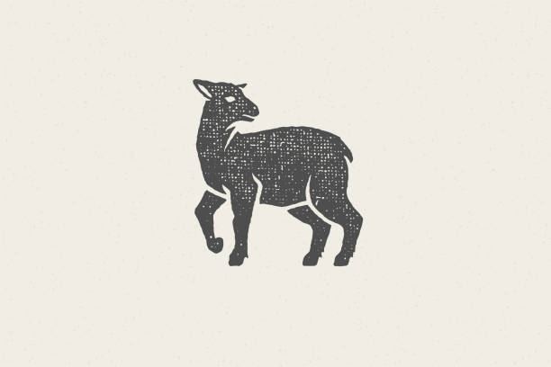 Lamb silhouette for domestic farm industry hand drawn stamp effect vector illustration. Vintage grunge texture emblem for butchery packaging and menu design or label decoration.